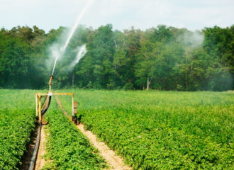 Canones_Profesional_agricola_nuevo